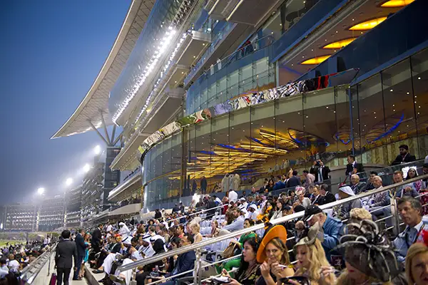 Dining Dubai World Cup Tickets 9948